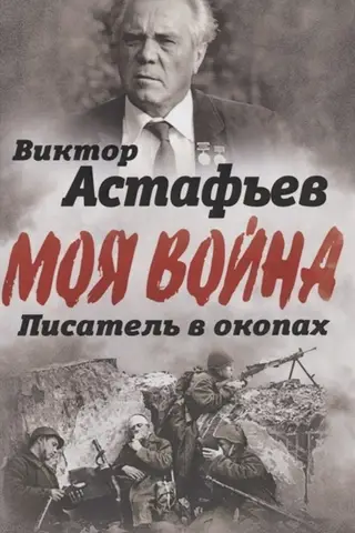 В окопах. Война глазами солдата