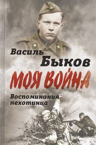 The Brutal Truth of War: An Infantryman's Memories