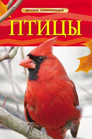 Птицы. Детская энциклопедия