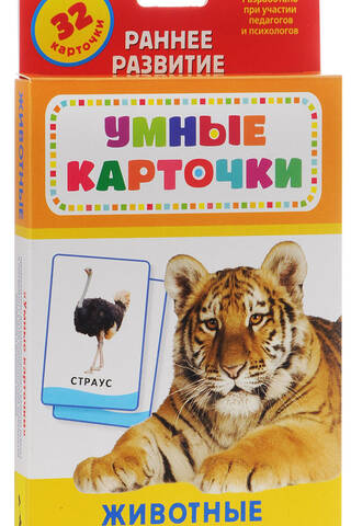 Animals. Educational flashcards