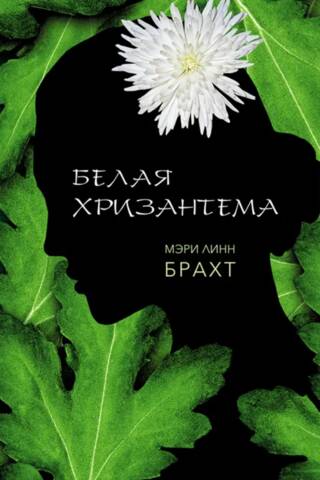 Белая хризантема