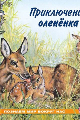 Познаем мир вокруг нас. Приключения олененка