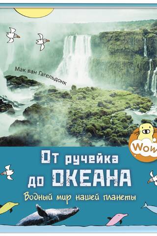 From Stream to Ocean: The Aquatic World of Our Planet