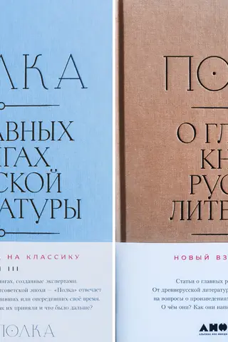 Shelf. On the Main Books of Russian Literature. Volumes 3–4