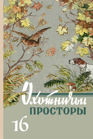 Альманах. Охотничьи просторы. Книга 16