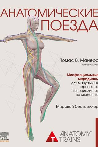 Anatomy Trains: Myofascial Meridians for Manual Therapists and Movement Therapists