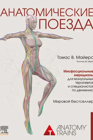 Анатомические поезда. Миофасциальные меридианы для мануальных терапевтов и специалистов по движению