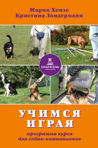 Learning Through Play: A Companion Dog Training Program