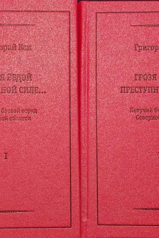Грозя бедой преступной силе… Летучий боевой отряд Северной области (1906-1908). В 2 томах. Том 1. Идеология. События. Люди. Том 2. Дополнения и приложения