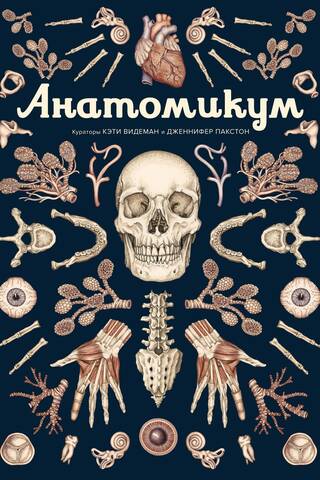Anatomicum