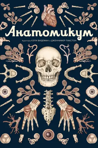 Анатомикум