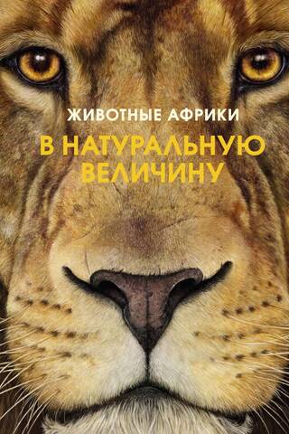 Животные Африки в натуральную величину