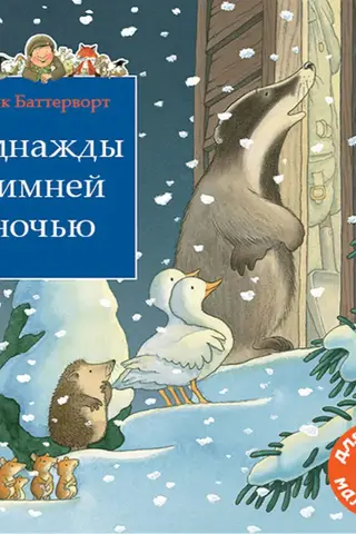 Однажды зимней ночью