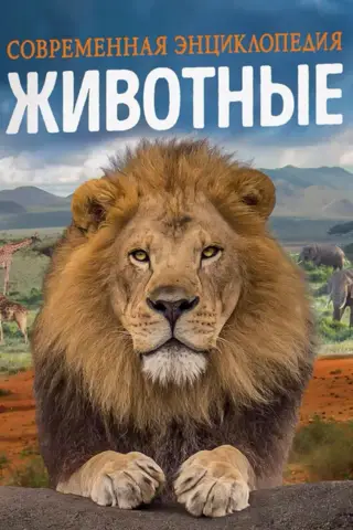 Животные