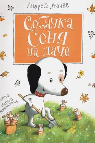 Sonya the dog at the dacha