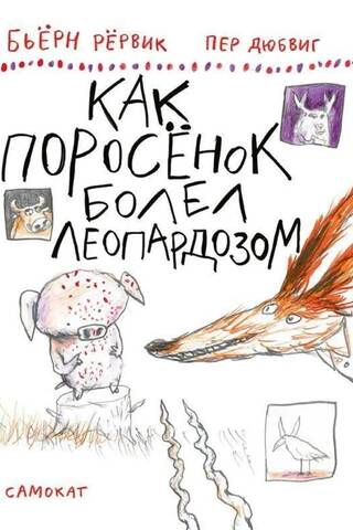 Kā sivēns saslima ar leopardozi