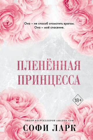 Gūstekņā princese
