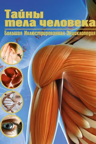 Тайны тела человека. Большая иллюстрированная энциклопедия