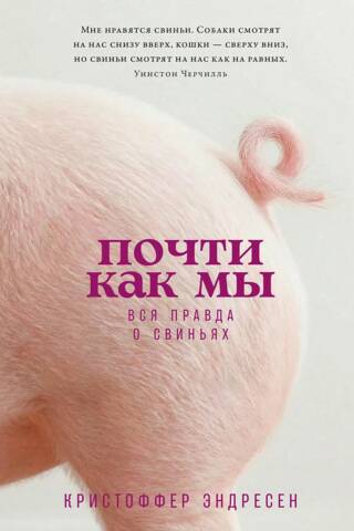 Почти как мы. Вся правда о свиньях
