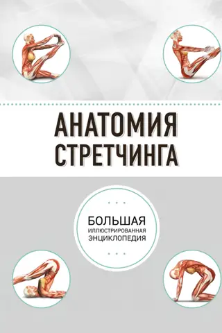 Stiepšanās anatomija: pilnīga ilustrēta enciklopēdija