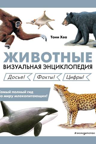 Animals: A Visual Encyclopedia
