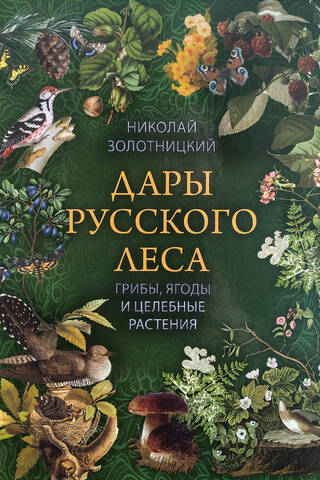 Дары русского леса. Грибы, ягоды и целебные растения