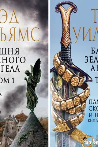 The Tower of the Green Angel. In 2 volumes
