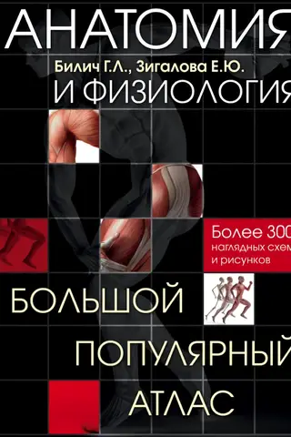 Anatomy and Physiology: A Large Popular Atlas