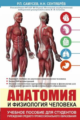Human anatomy and physiology