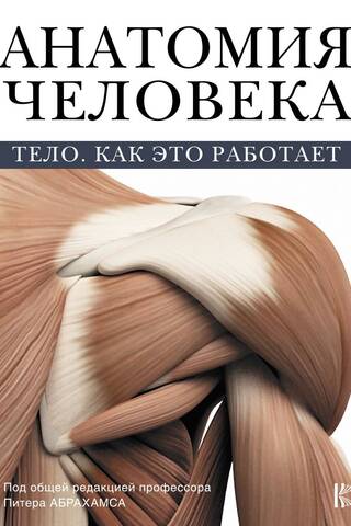 Анатомия человека. Тело. Как это работает