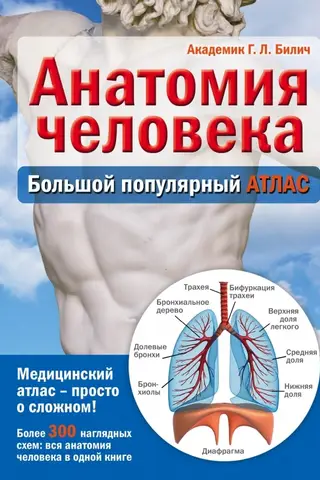 Human Anatomy: A Large Popular Atlas