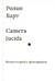 Camera lucida. Комментарий к фотографии