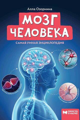The Human Brain: The Smartest Encyclopedia