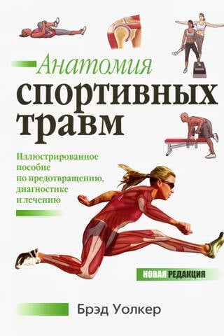Anatomy of sports injuries
