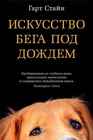 Искусство бега под дождем