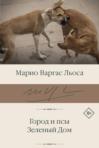 Город и псы. Зеленый Дом
