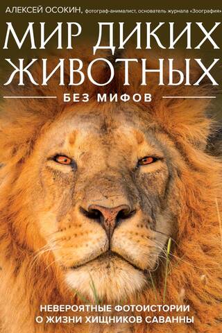 Мир диких животных без мифов. Невероятные фотоистории о жизни хищников саванны