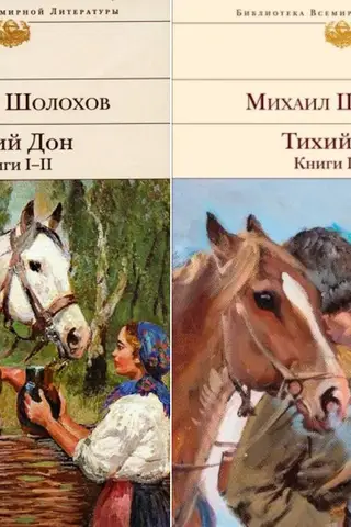Dona klusā plūdums. 2 sējumos