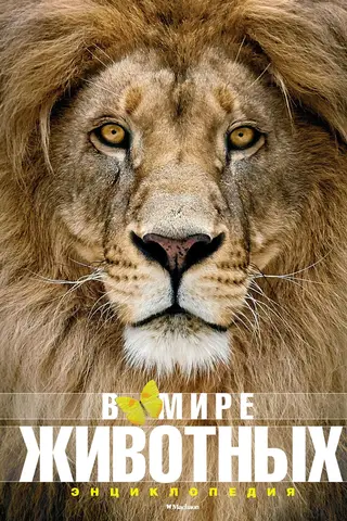 В мире животных. Энциклопедия