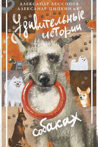Amazing Stories About Dogs