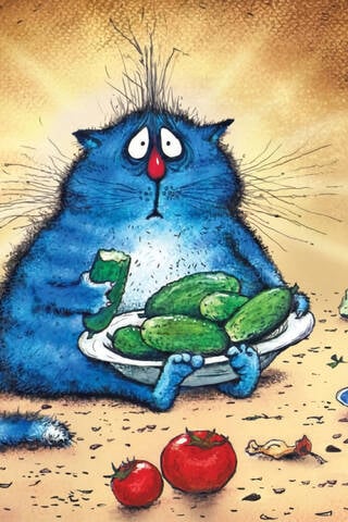 Postcard. Blue cats. Cat on a diet.