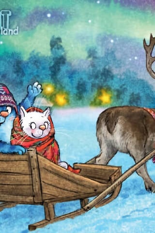 Postcard. Blue cats. Cats travel. Finland.