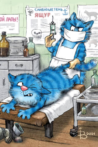 Postcard. Blue cats. Oh, what a shot!