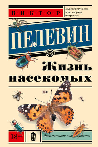 Life of insects