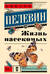 Жизнь насекомых