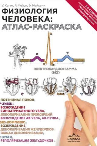 Физиология человека: атлас-раскраска