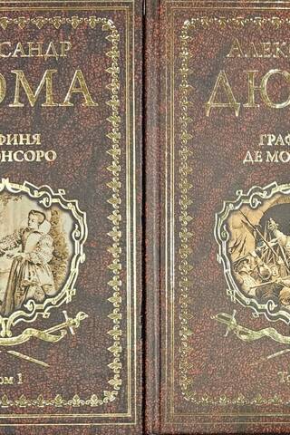 Графиня де Монсоро. В 2 томах