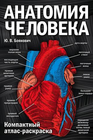 Анатомия человека: компактный атлас-раскраска
