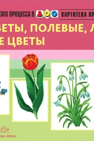 Temata attēlu fails. 7. izdevums. Prīmulas, savvaļas puķes, pļavas puķes un dārza puķes. Vecums 3–7 gadi.