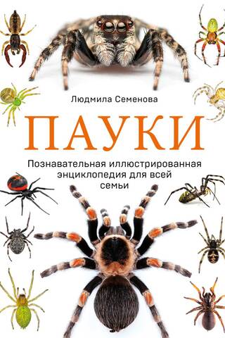 Spiders: An Educational Illustrated Encyclopedia for the Whole Family